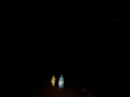 night
