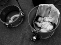 DSC_4030, (2)
