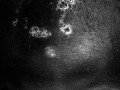ninos-invisibles-1