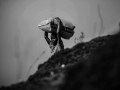 zDSC_5328.-copia
