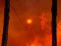 subidas-1
