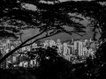 DSC_6326