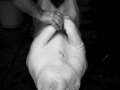 zzzzz-23
