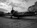 DSC_9256