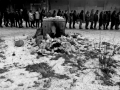 serbia-80