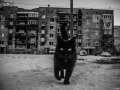 ukraine-13