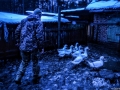 ukraine-7