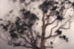 Una cámara, un pincel