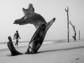 zDSC_5955