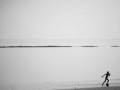 zDSC_6434